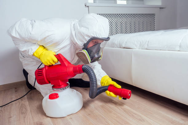 Best Bed Bug Extermination  in Firestone, CO